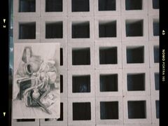 -甲乙果 美术书法(通州校区)