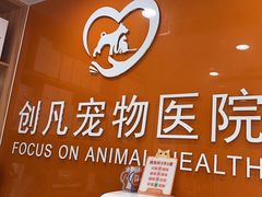 -创凡宠物医院·骨专科  猫科中心(西乡分院)