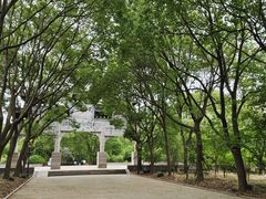 -南汇桃花村