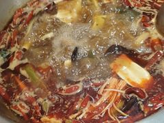 纯牛油红锅-金鼎雪山牦牛杂火锅(理县总店)