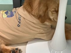 -怪兽屋·羊驼·猫咖·狗咖(俊华广场店)