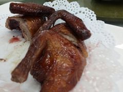 -渔鸽皇酒楼(鸿大广场店)