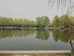 android_upload_pic-和园景逸大酒店朗月汤泉