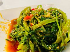 -新蜀会四川豆花(五羊店)