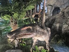 -陕西自然博物馆