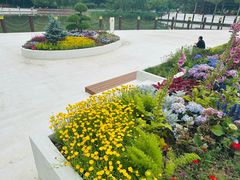 -大望京公园