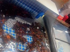 -破瓦寒窑·地摊烤羊排