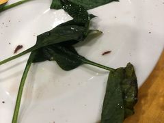 -濠轩阁特色生蚝火锅(水湾路店)