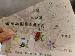 -四明山国家森林公园