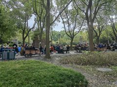 -泰州凤城河风景区-泰山公园