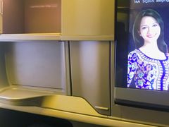 -新加坡航空公司(ION)