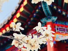 -西海子公园