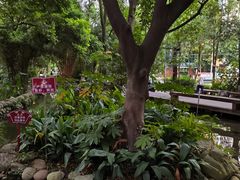 -成都市活水公园