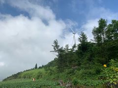 -齐岳山
