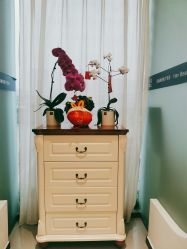 -联合丽格·张菡丽格医疗美容