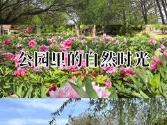 -洛阳市隋唐城遗址植物园