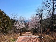 -西尖山公园