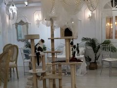 大堂-共舞时光猫咖·狗咖(新街口店)