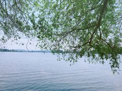 -东湖落雁景区