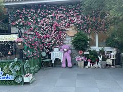 -京北渔家傲