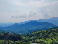 -广州市石门国家森林公园