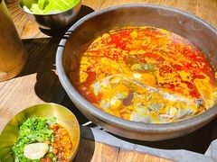 酸汤鱼-毛辣果·酸