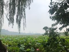 -品腐记·豆腐王朝(老门东总店)