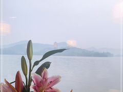 -柳莺湖上·湖景餐厅·江南菜(西湖店)