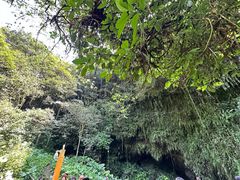 -海口火山口国家地质公园