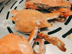 -乔哥铭洋海鲜自助(皇城恒隆广场店)