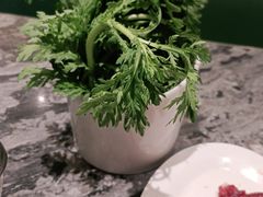 -八合里牛肉火锅(深圳光明大仟里二店)