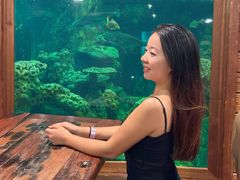 -长鹿旅游休博园