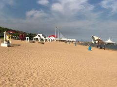 -碧海金沙