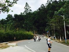-火炉山森林公园