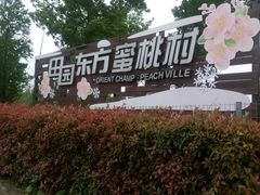 -田园东方蜜桃村的田野营地