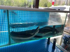 -隐炉和牛烧肉店(群力店)