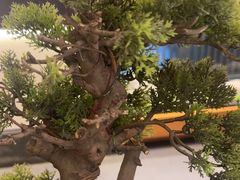 -大妙火锅·非物质文化遗产(东湖公园店)