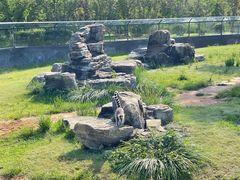 -秦皇岛野生动物园