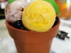 -哈根达斯(西安高新店)