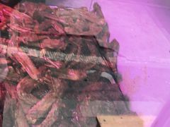 -章云板鸭(评事街店)