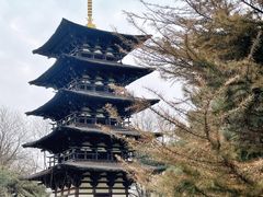 -北京世界公园