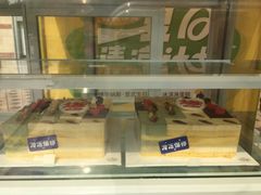 -维尔纳斯·生日蛋糕动物奶油冰淇淋蛋糕(人大店)