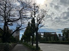 -名古屋城