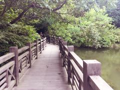 -白马涧龙池景区