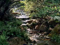 -云溪植物园