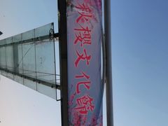 -百万葵园