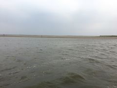 -呼兰河口湿地公园