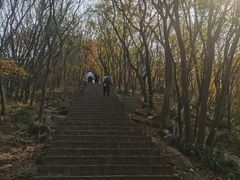 -紫金山山顶公园