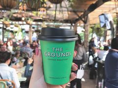-The Grounds of Alexandria