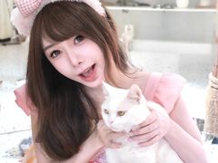 -毛绒耶耶撸宠馆·猫咖·狗咖·荷兰猪咖